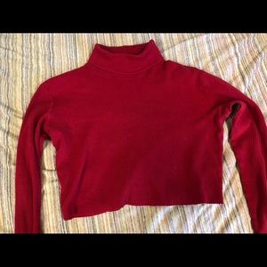 Red cropped turtle neck